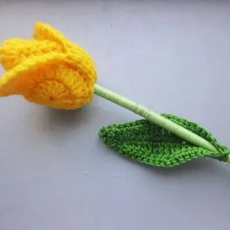 Тюльпан