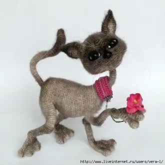 Кот Жулик