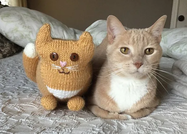 Котики, фото 2