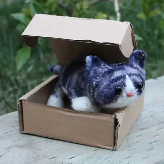 Котик