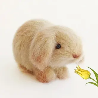 Декоративный вислоухий кролик
