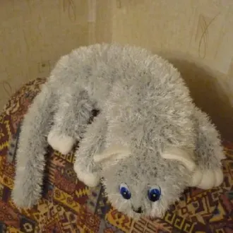 Кот- шалун