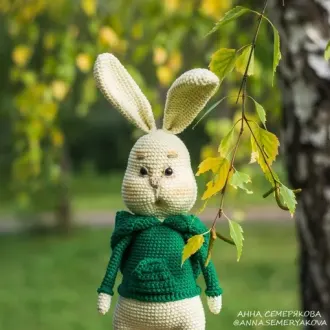 Кролик Сэр Бублик