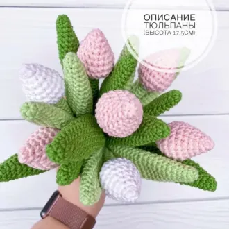 Тюльпаны