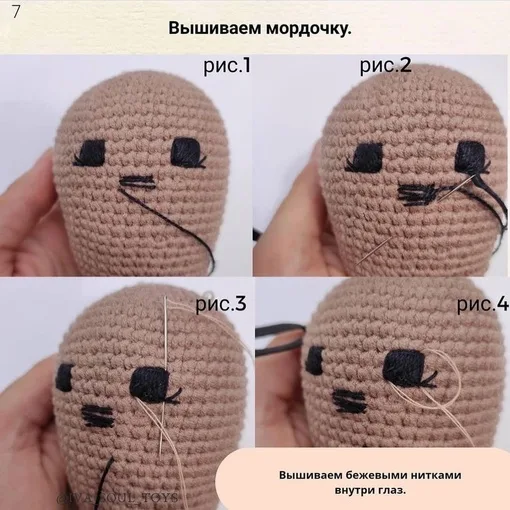 Тюлененок Бруно, фото 8
