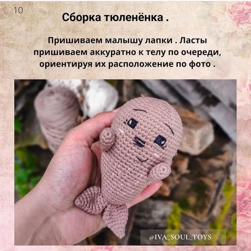Тюлененок Бруно, фото 10