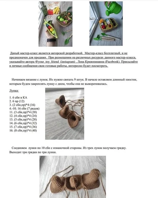 Клумба/огород и описание ромашки и подсолнуха, фото 2