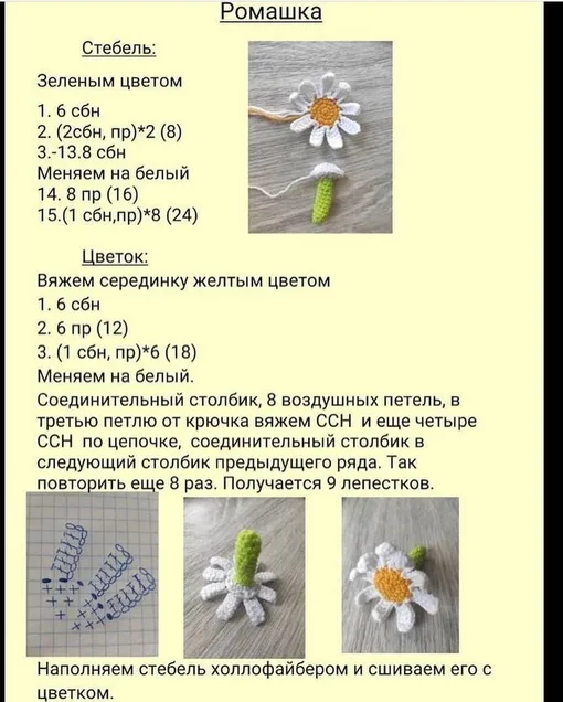 Клумба/огород и описание ромашки и подсолнуха, фото 5