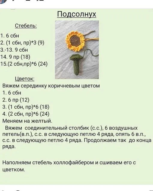 Клумба/огород и описание ромашки и подсолнуха, фото 7