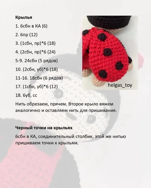 Божья коровка, фото 10