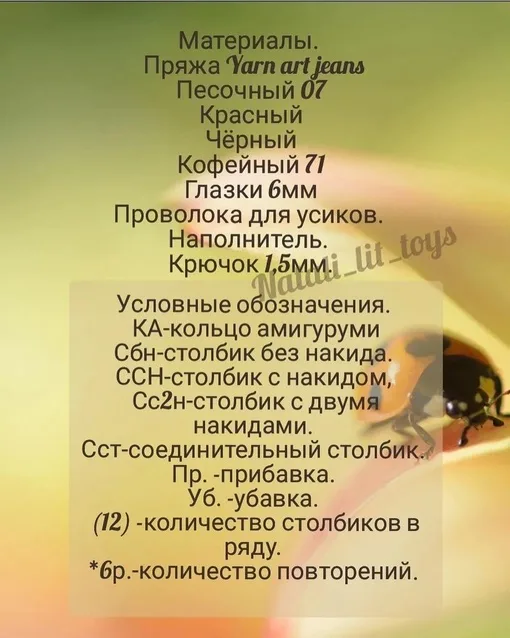 Божья коровка, фото 2