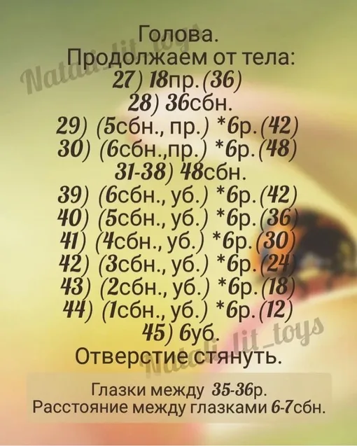 Божья коровка, фото 4