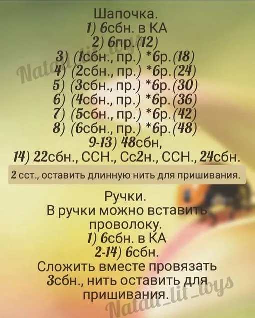 Божья коровка, фото 5