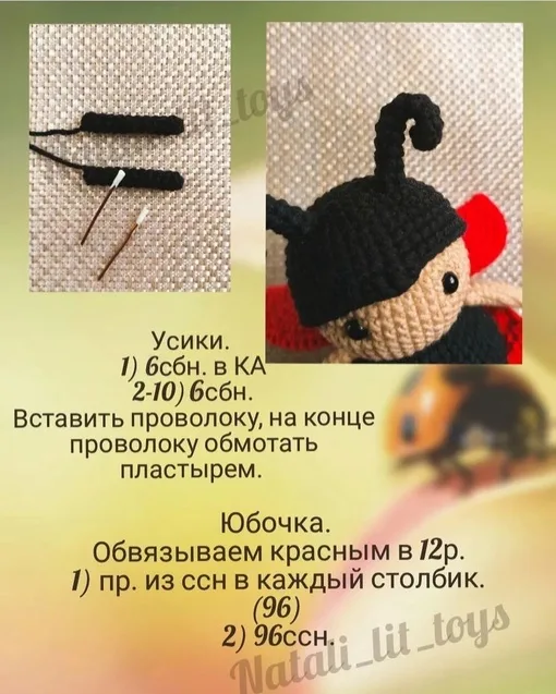 Божья коровка, фото 9