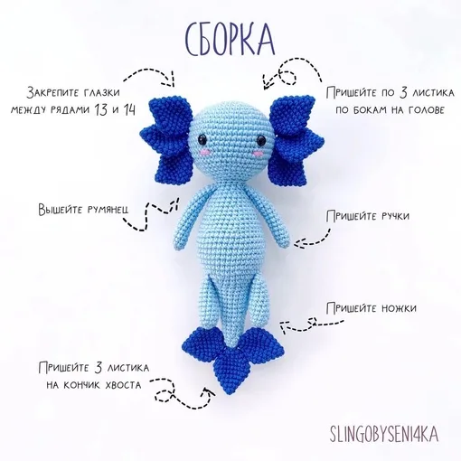 Аксолотля Павла, фото 8