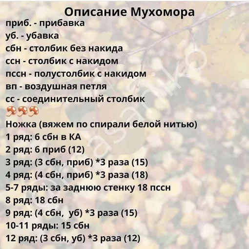 Мухомор, фото 2