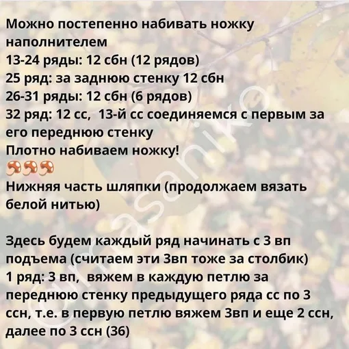 Мухомор, фото 3