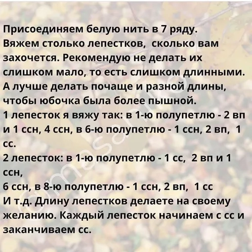 Мухомор, фото 5