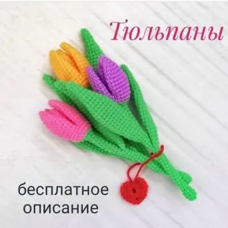 Тюльпаны