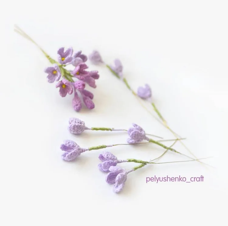 Сирень, фото 6