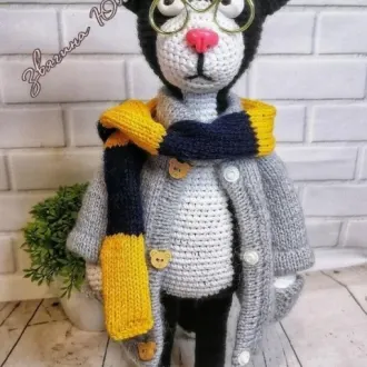 Кот учёный