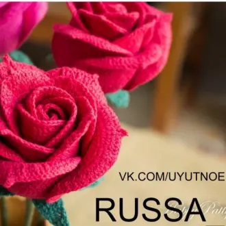 Розы