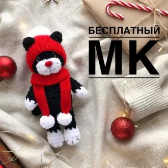 Котик в шапочке