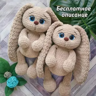 Зайка