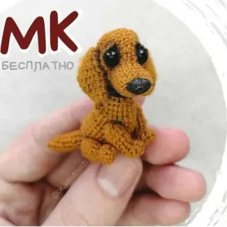Таксеныш