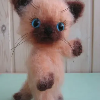 Котик Сиамский