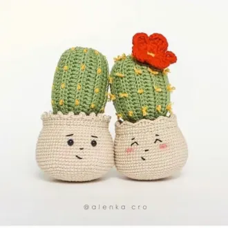Кактусы в горшочках