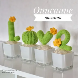 L-O-V-E КАКТУСЫ